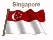 Welcome To Singapore Welcome GIF .